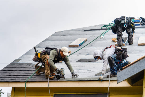 Professional Storm Damage Roof Repair technician working in Hamlet, IN